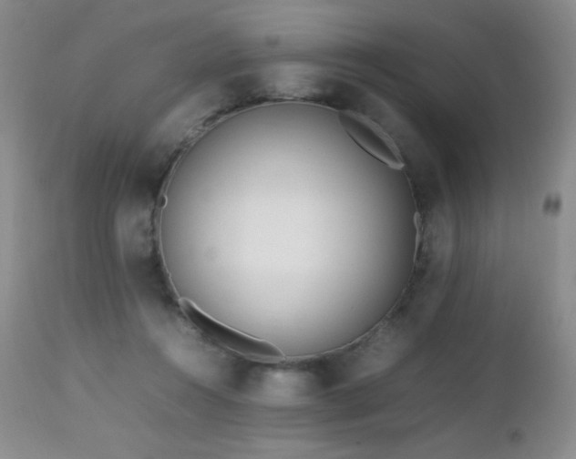 X0000112970360200908271148