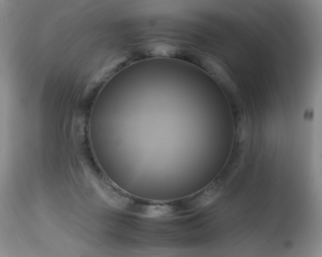 X0000112970363200908271148