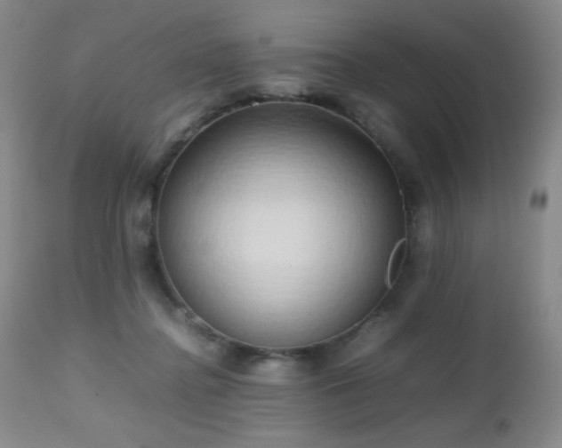 X0000112970364200908271148