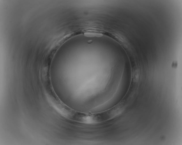 X0000112970365200908271148