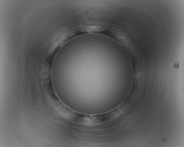 X0000112970367200908271148