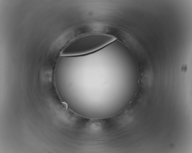 X0000112970368200908271148