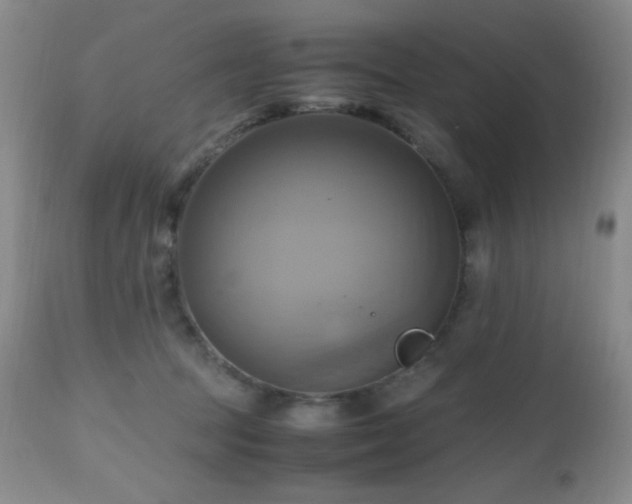 X0000112970369200908271148