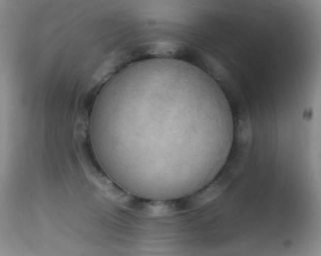 X0000112970370200908271148