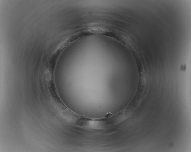 X0000112970371200908271148