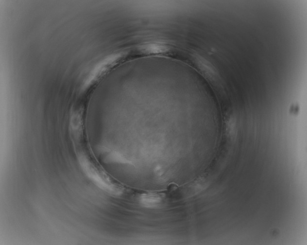 X0000112970373200908271148