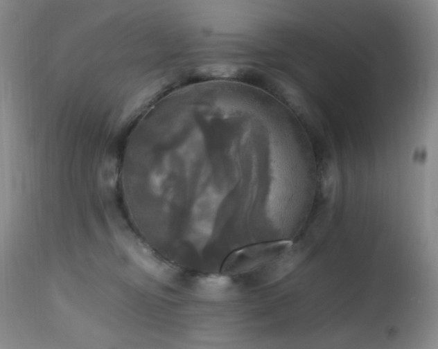 X0000112970374200908271148