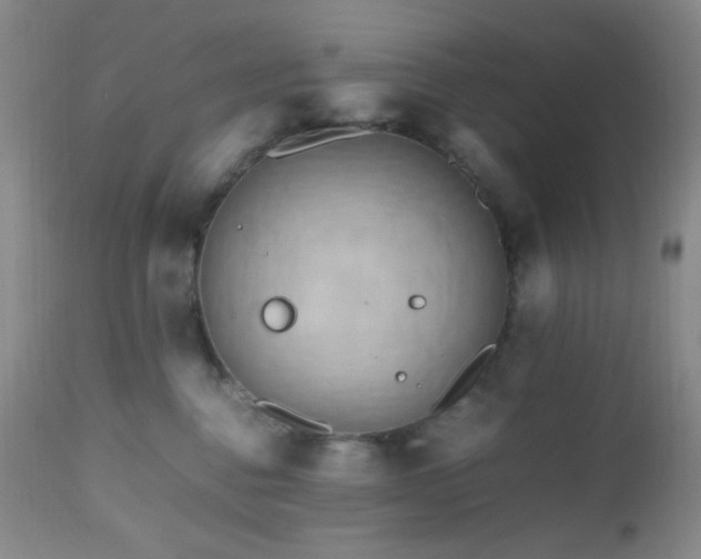 X0000112970376200908271148