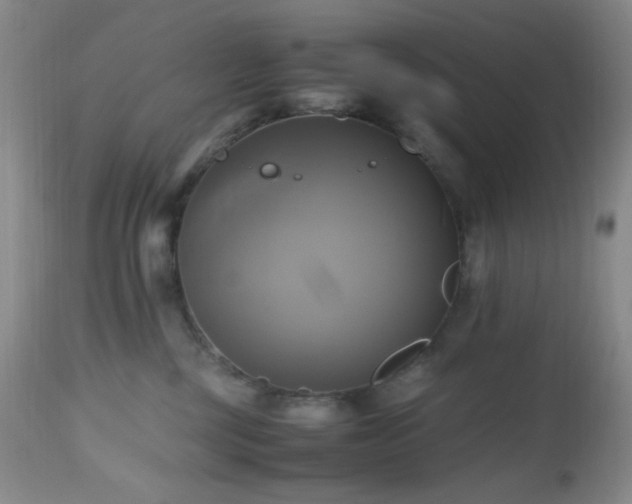 X0000112970377200908271148