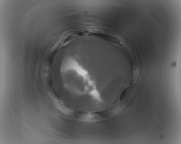 X0000112970379200908271148