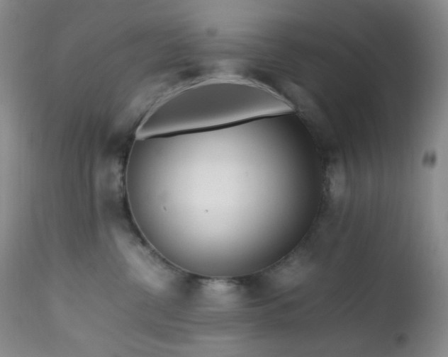 X0000112970380200908271148