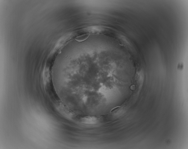 X0000112970381200908271148