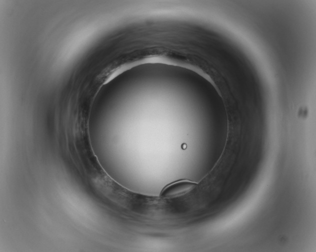 X0000112970382200908271148