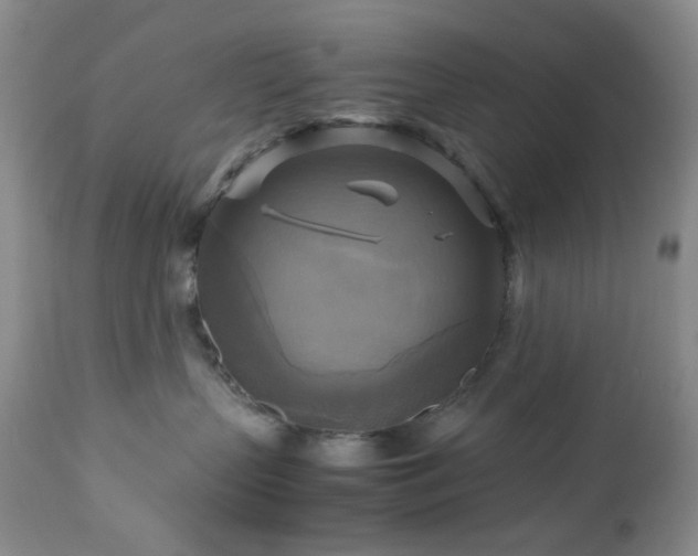 X0000112970383200908271148