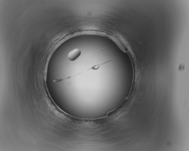 X0000112970385200908271147