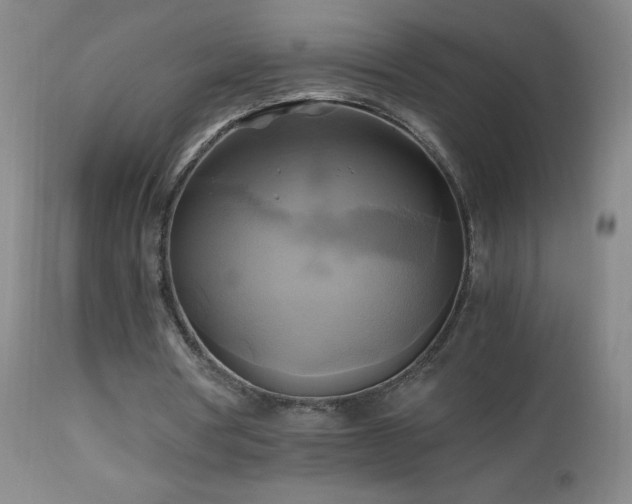 X0000112970386200908271147