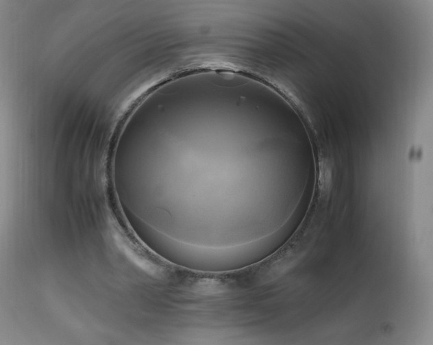 X0000112970390200908271147