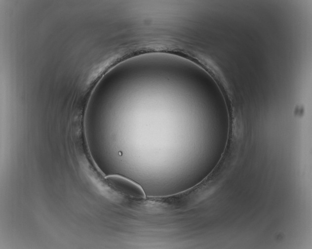 X0000112970393200908271147