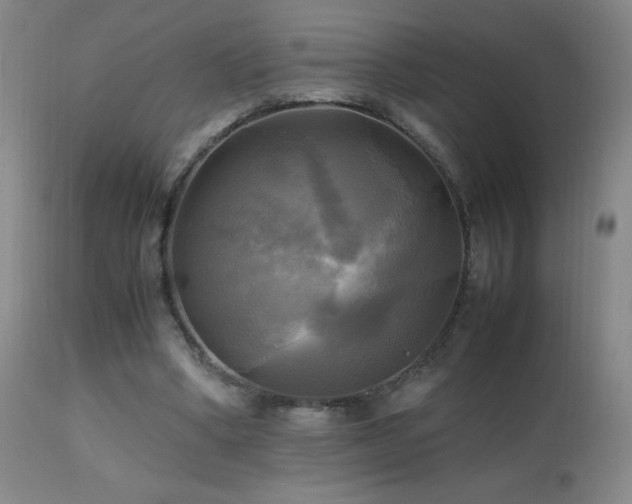 X0000112970394200908271147