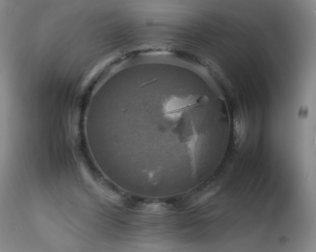 X0000112970396200908271147