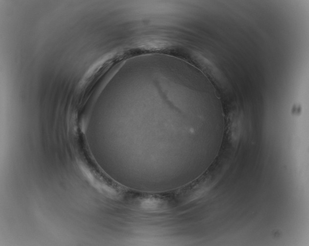 X0000112970400200908271147