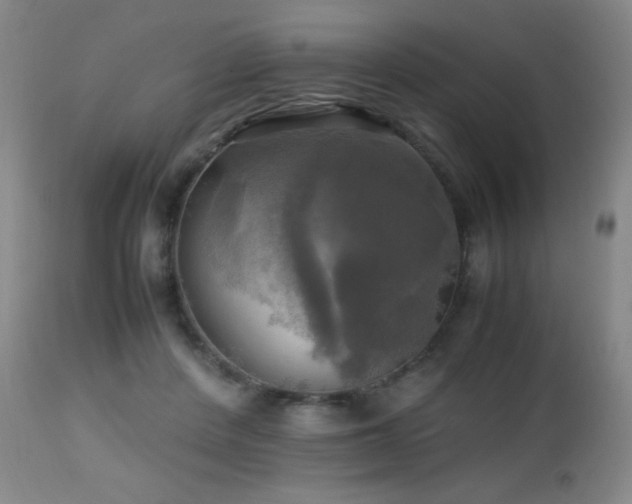 X0000112970408200908271147