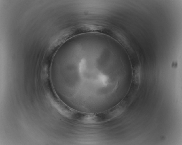 X0000112970410200908271147