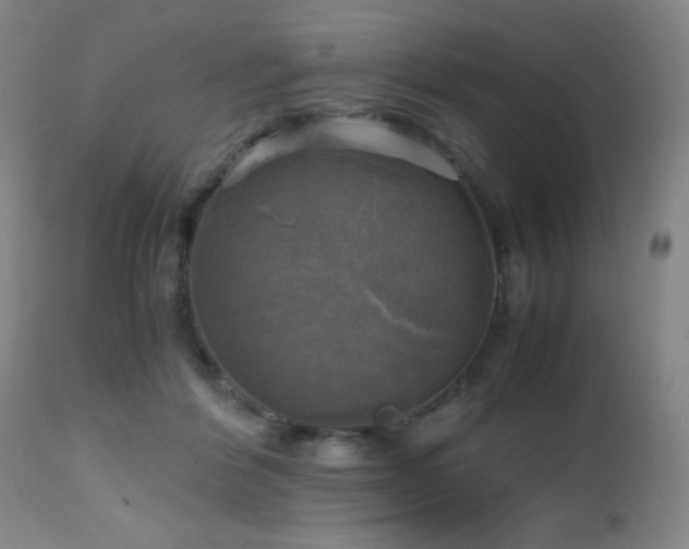 X0000112970412200908271147