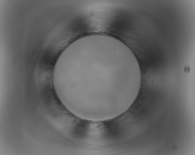 X0000112970415200908271147