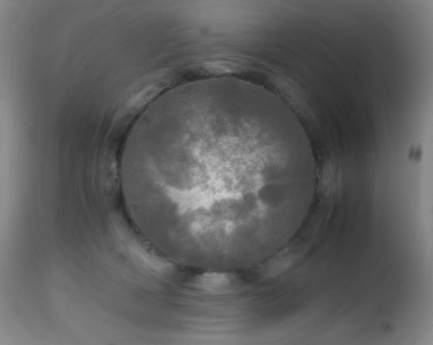 X0000112970418200908271147