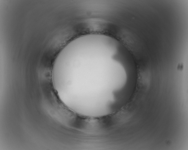 X0000112970419200908271147