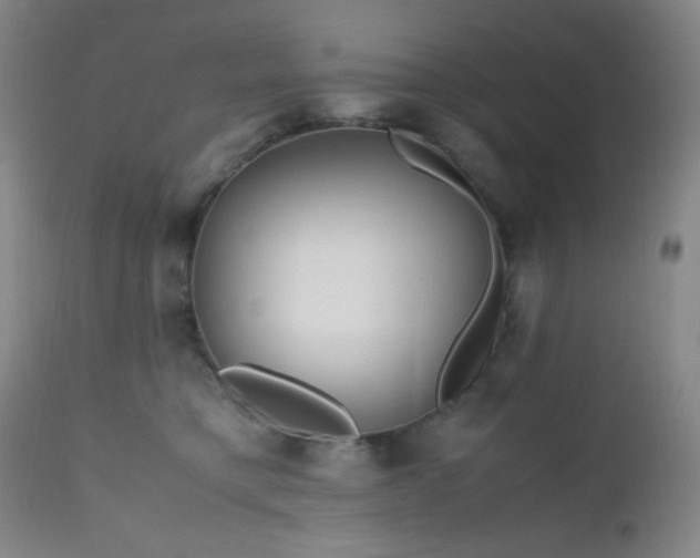 X0000112970421200908271147