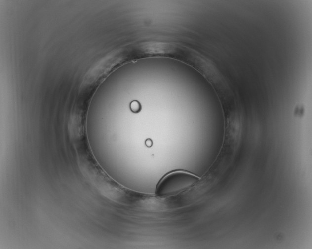 X0000112970422200908271147