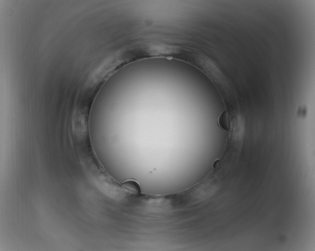 X0000112970426200908271146