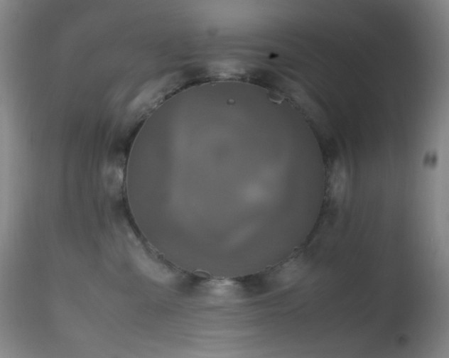 X0000112970427200908271146