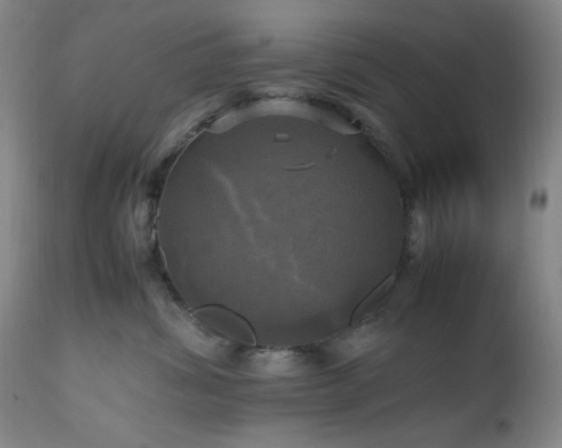 X0000112970428200908271146