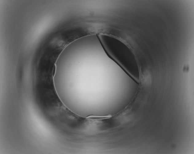 X0000112970429200908271146