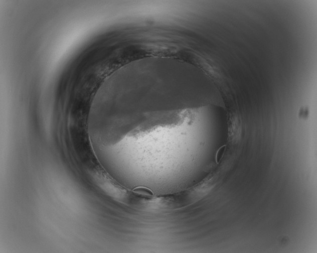 X0000112970430200908271146