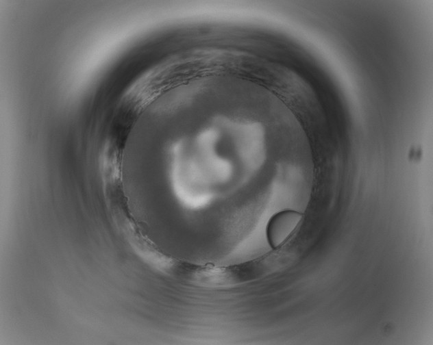 X0000112970431200908271146