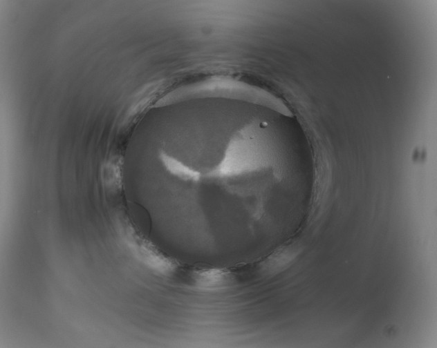 X0000112970432200908271146