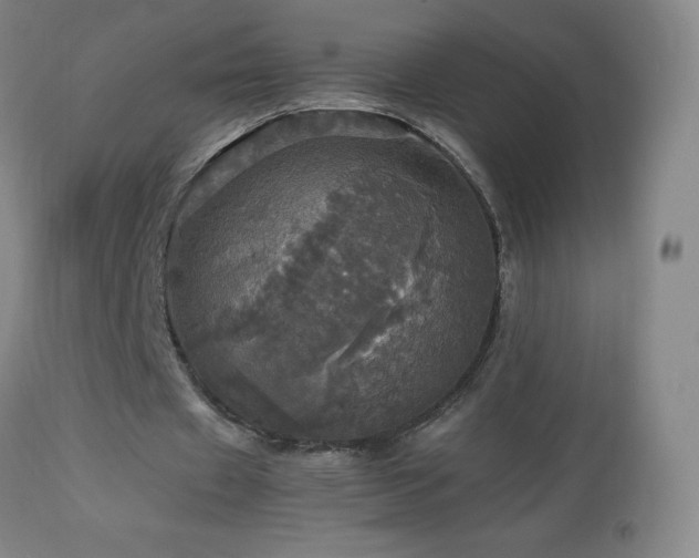 X0000112970433200908271146