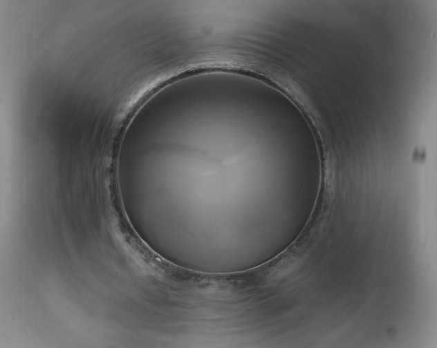 X0000112970434200908271146