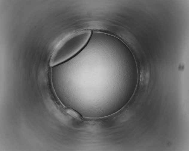 X0000112970436200908271146