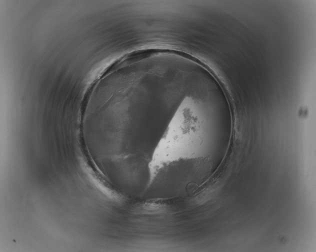 X0000112970437200908271146