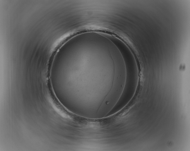 X0000112970438200908271146