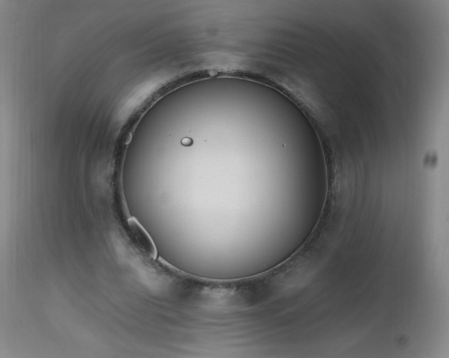 X0000112970440200908271146