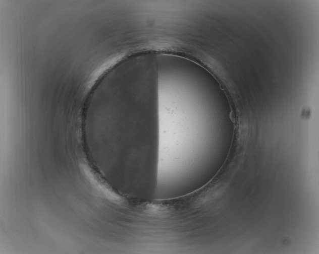 X0000112970442200908271146