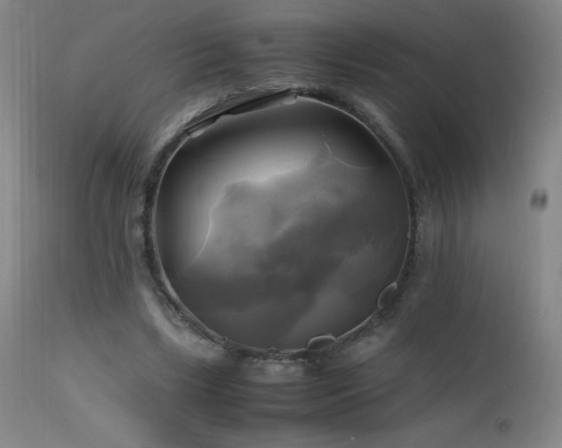 X0000112970443200908271146