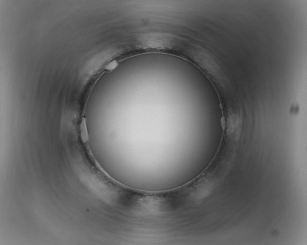 X0000112970444200908271146