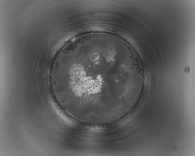 X0000112970445200908271146